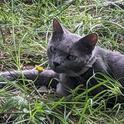 Oliver